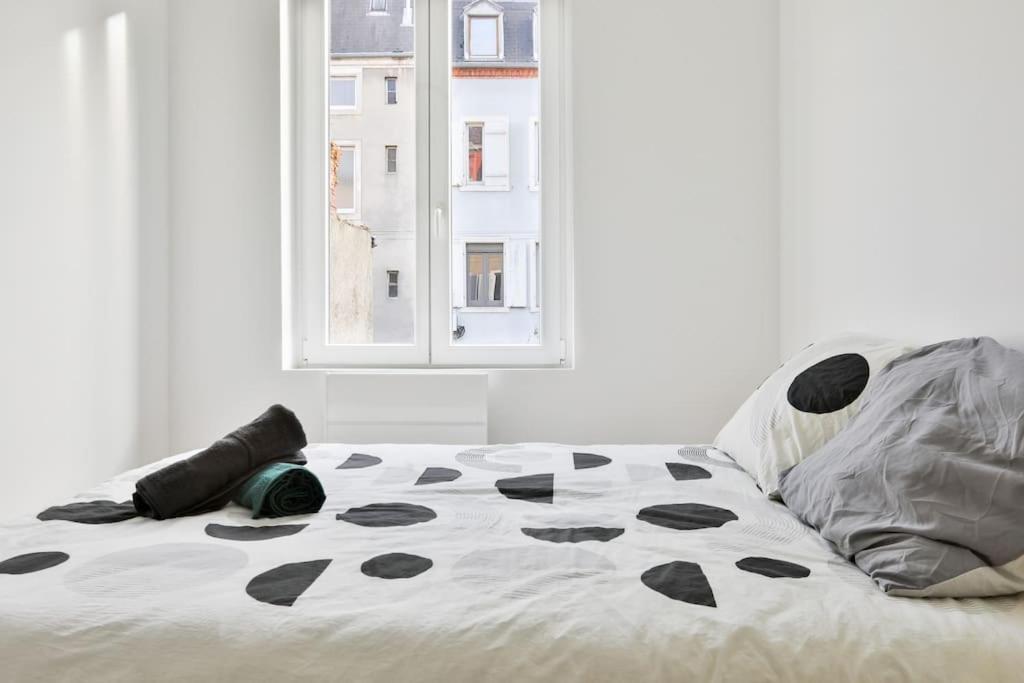 Lumineux Et Moderne, Parking Gratuit, Centre Mulhouse