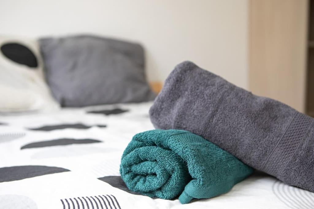Lumineux Et Moderne, Parking Gratuit, Centre Apartment Mulhouse